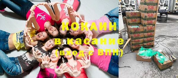 стаф Коряжма
