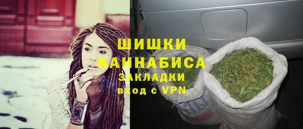 стаф Коряжма