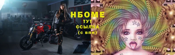 стаф Коряжма