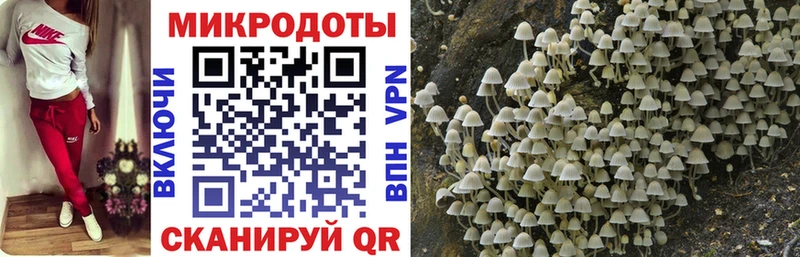 Купить  Коркино  Галлюциногенные грибы мухоморы 